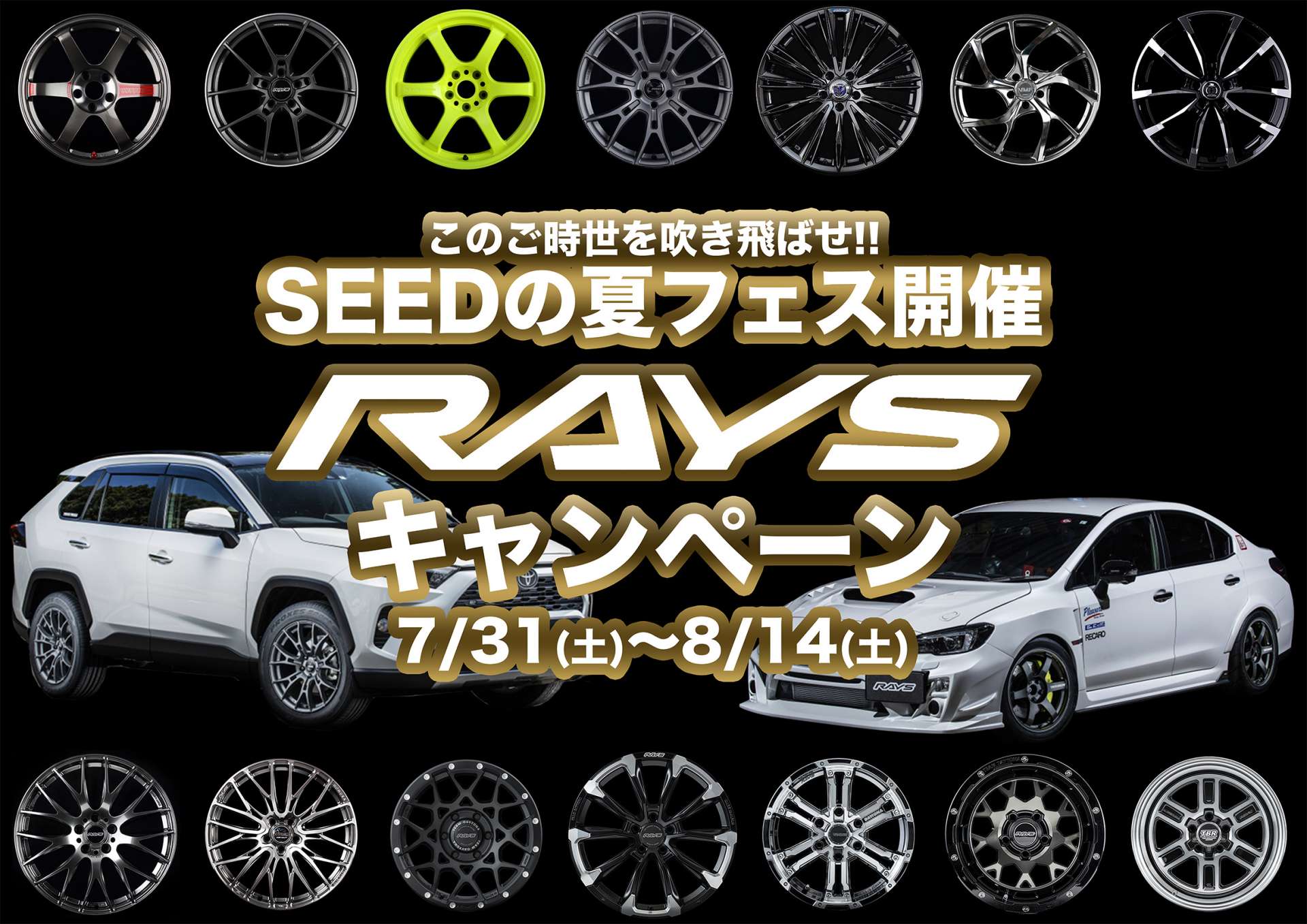 【SEEDの夏フェス開催決定!!】RAYSキャンペーン【お見逃しなく!!】